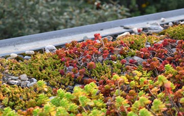 the cost of Little Corby green roof installation