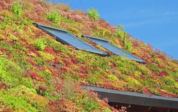 Little Corby living roof systems