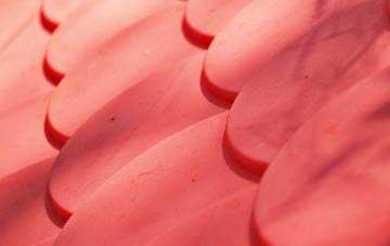 Little Corby plastic roof costs